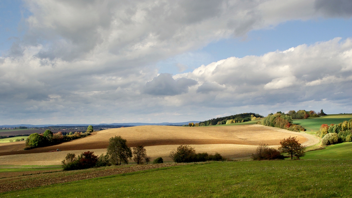 Vysočina u Skřivánku