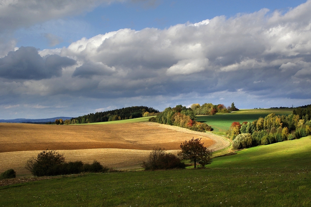 Vysočina u Skřivánku 2
