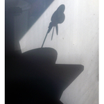 S kytkou za kloboukem...