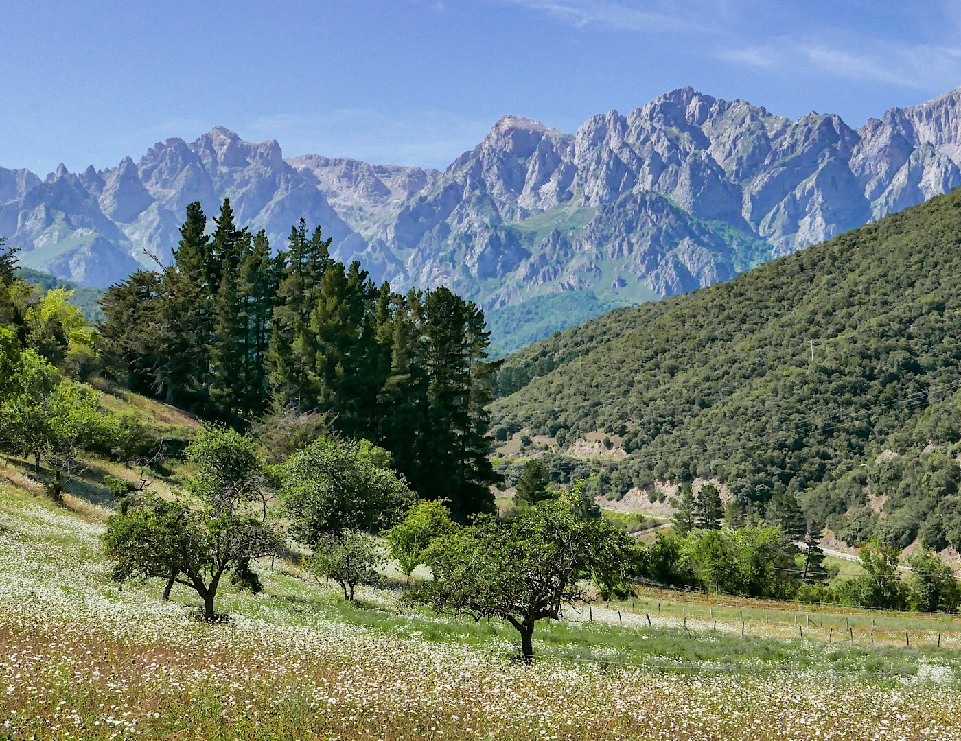 Picos de Europa, Cantabria, Spain