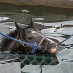 Těžko na cvičišti...