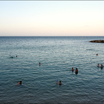 Večerní koupání suchozemských savců