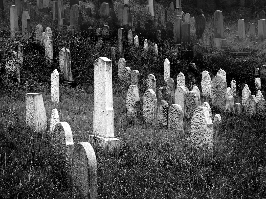 Zahrady ticha a zapomnění....