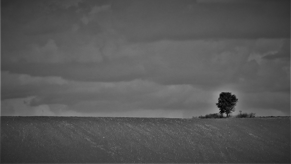 Strom