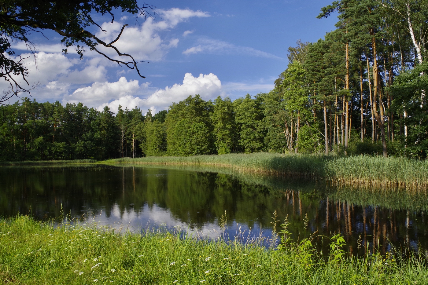 rybnik Travný(Třeboňsko)
