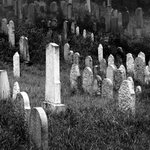 Zahrady ticha a zapomnění....