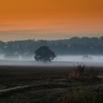 Před východem sluce