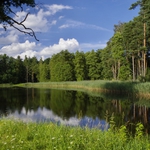 rybnik Travný(Třeboňsko)