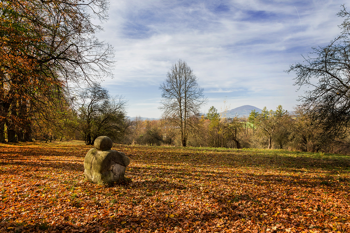 Trpělivý pozorovatel výhledu.