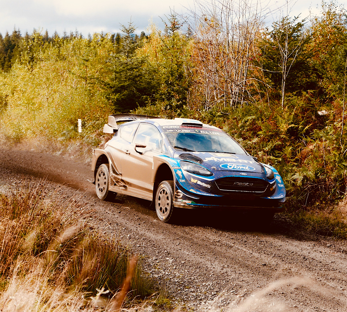 Rally Wales 2019