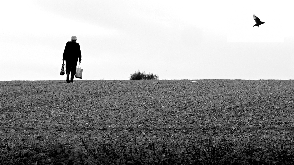 Odcházení a odlétání