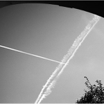 v barokní zahradě …