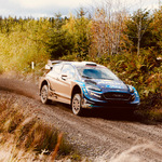 Rally Wales 2019