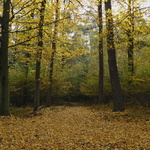 podzimní