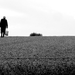 Odcházení a odlétání