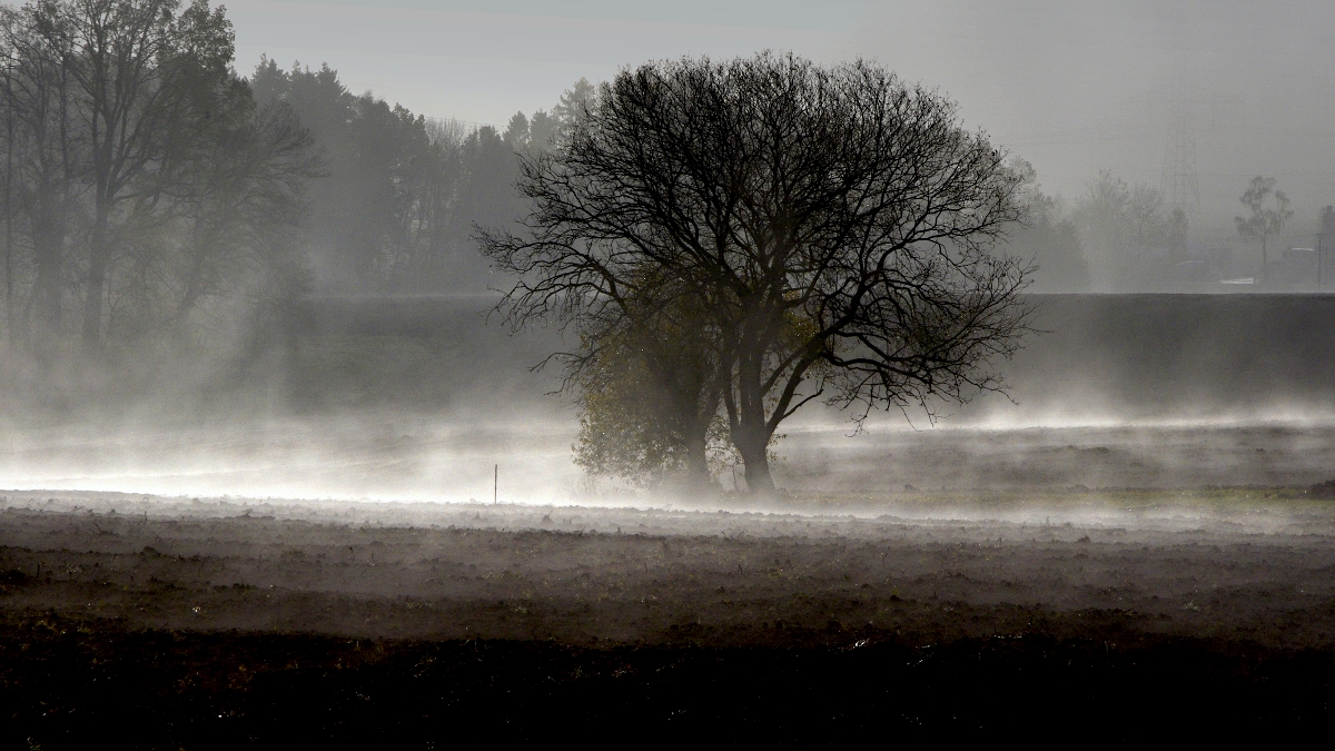 Když se mlhy válí...1