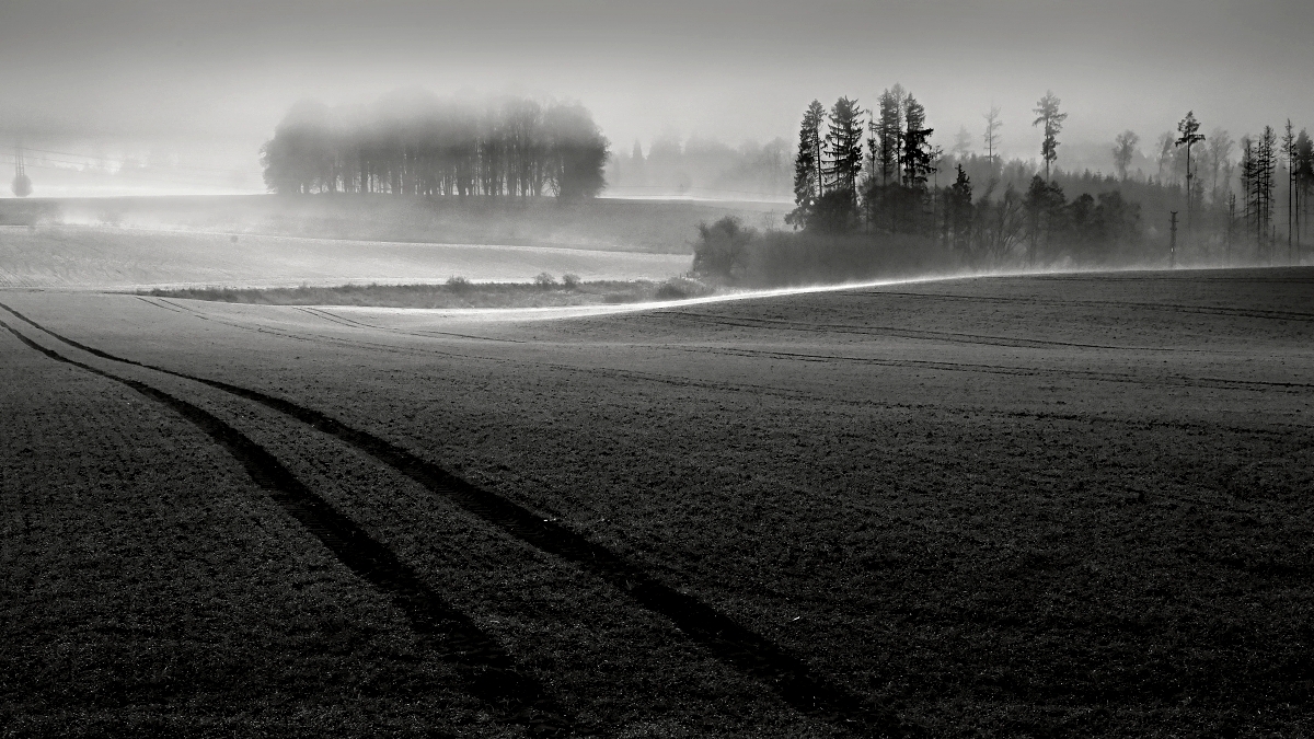 Když se mlhy valí .. 2