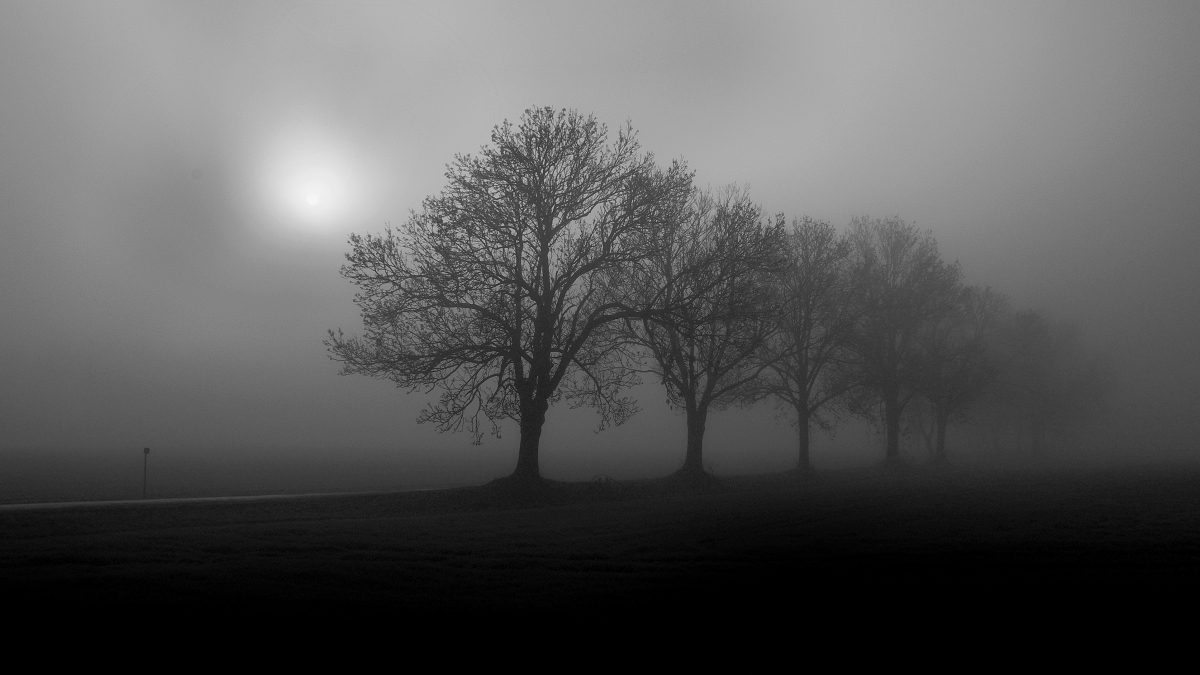 Když se mlhy válí 6