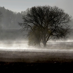 Když se mlhy válí...1