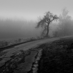 Když se mlhy válí ...4