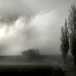 Když se mlhy válí ...5