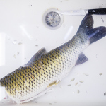 Hlavně mít s sebou ručník