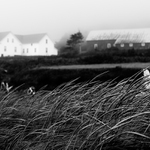 detail z okoli farmy