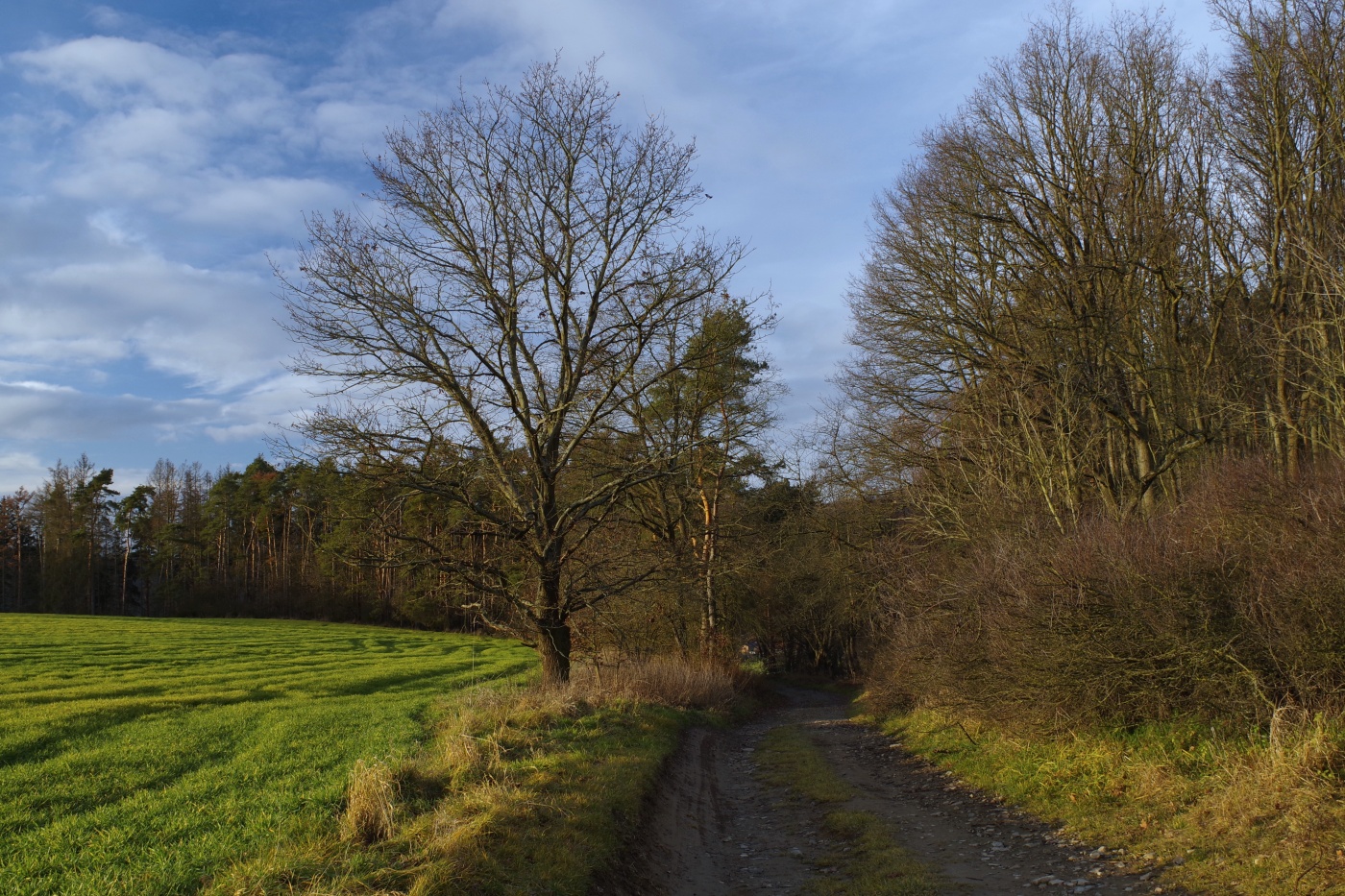 podvečerní v Kostelci