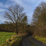 podvečerní v Kostelci