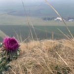 Raná..., a zas Raná... :-)