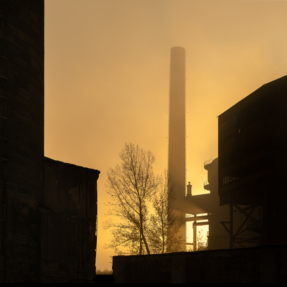 Kdyz mate rana veskrze rezava