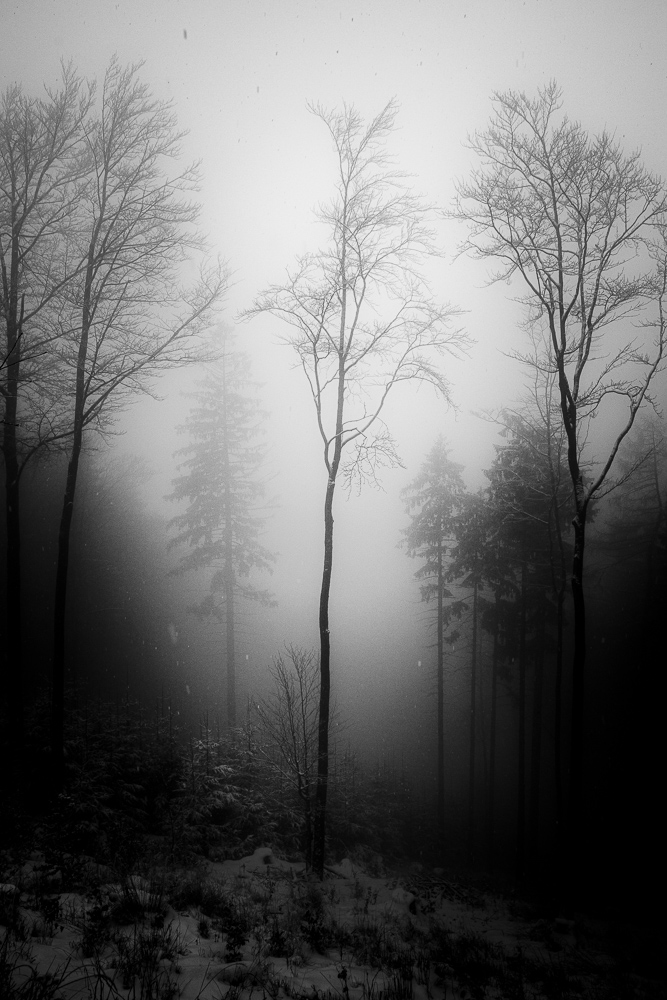 Velehorska expedice #2