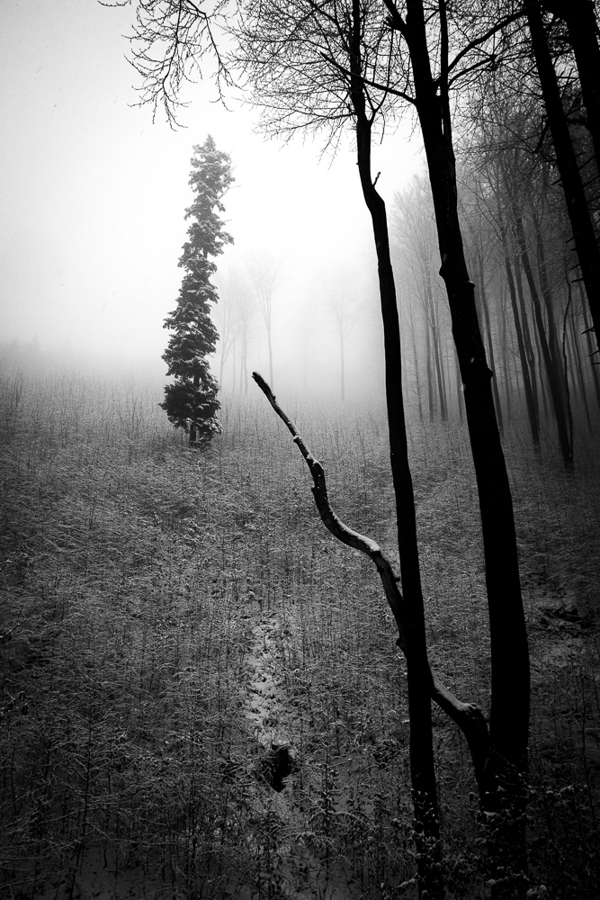 Velehorska expedice #3