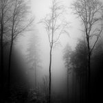 Velehorska expedice #2