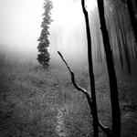 Velehorska expedice #3