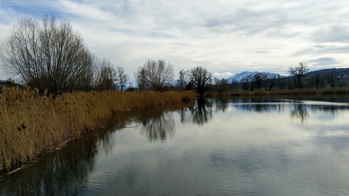Baldeggersee I.