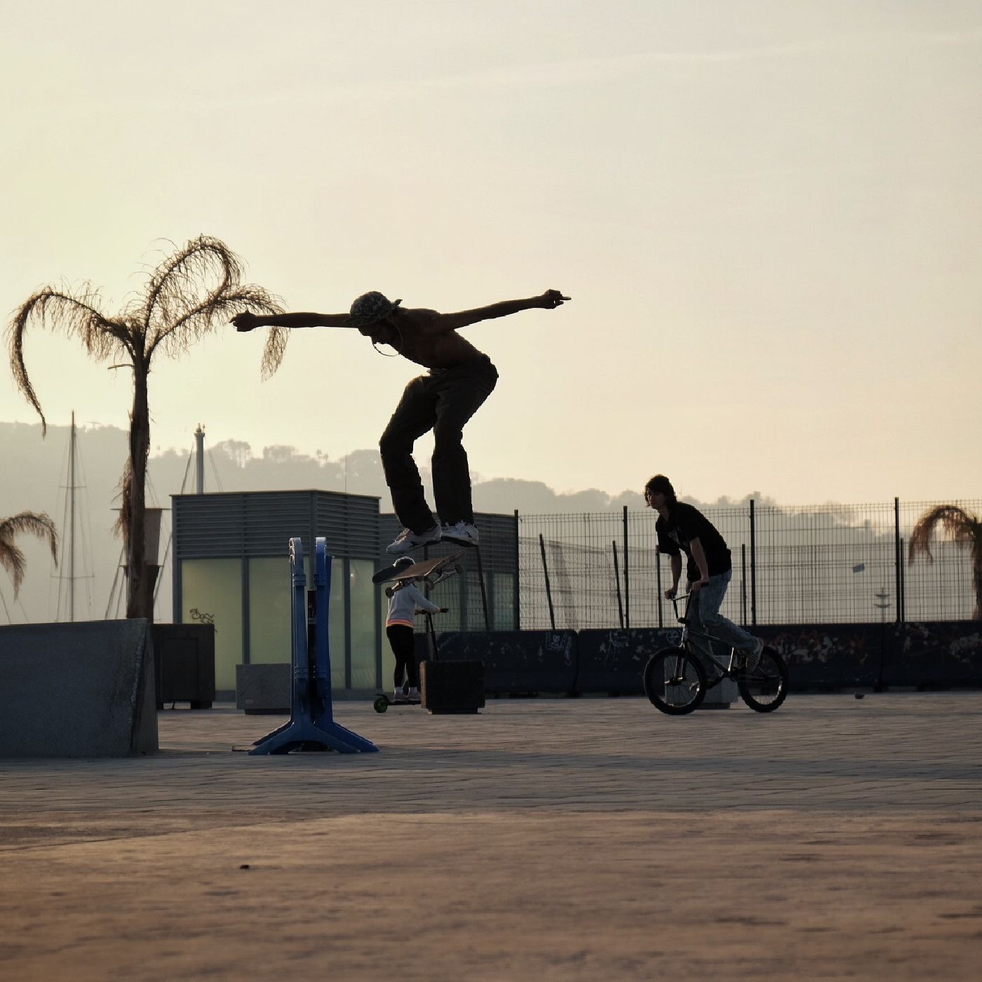 Skate