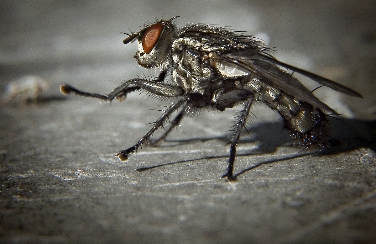 "To je ale krasavice"...