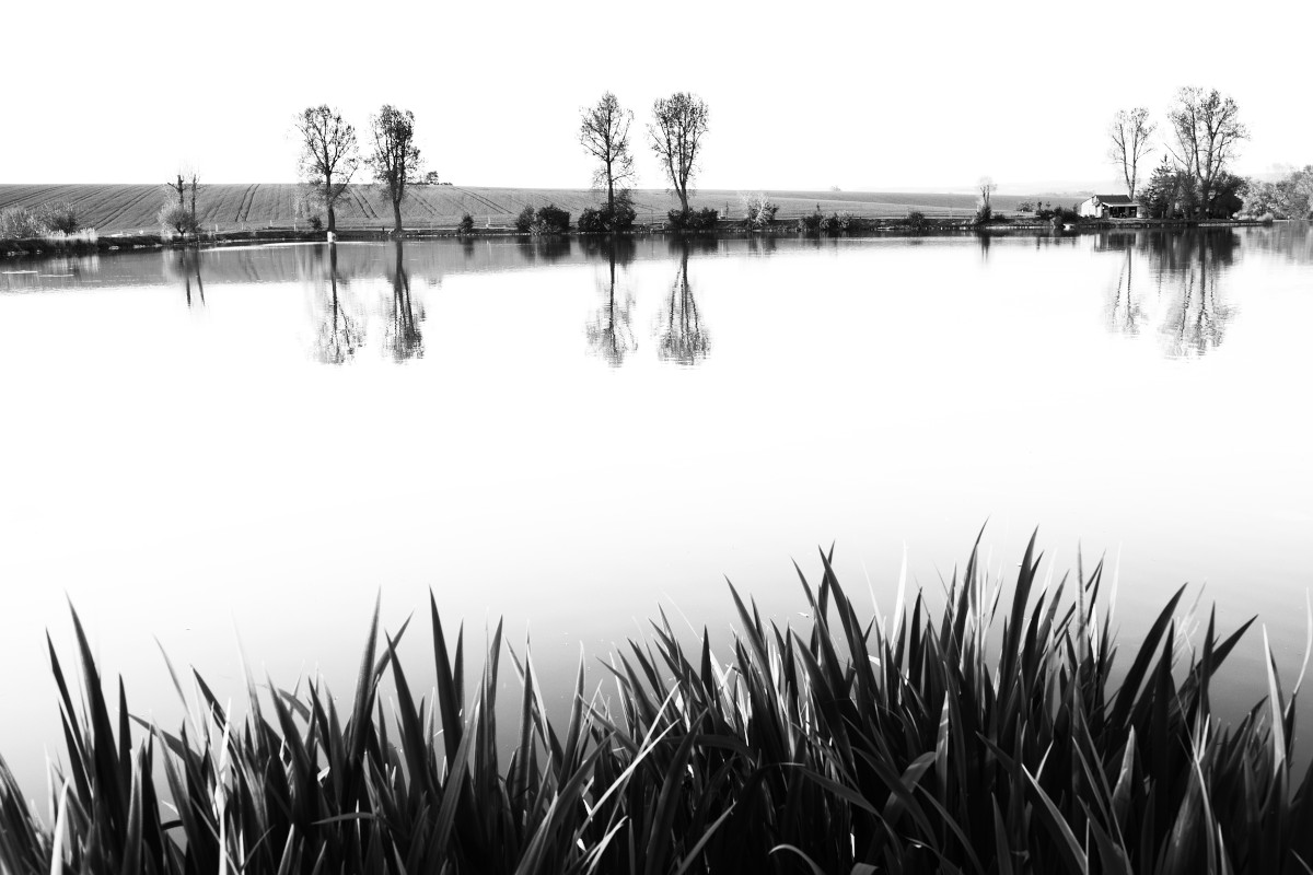 Rybníkofka vykácená