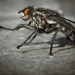 "To je ale krasavice"...