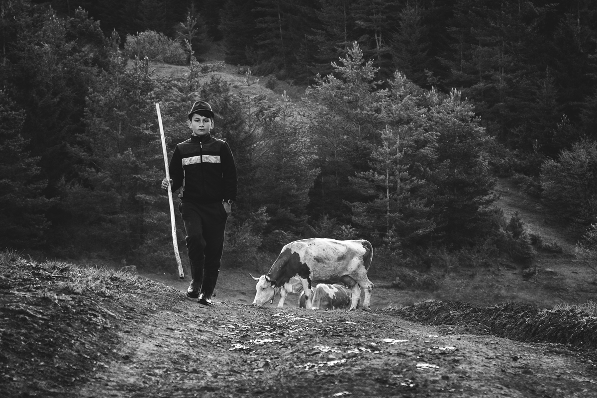 Mladý pastier - I