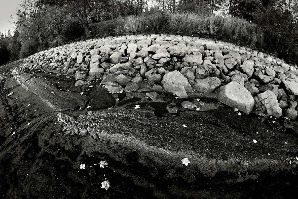 Vypuštěný rybník