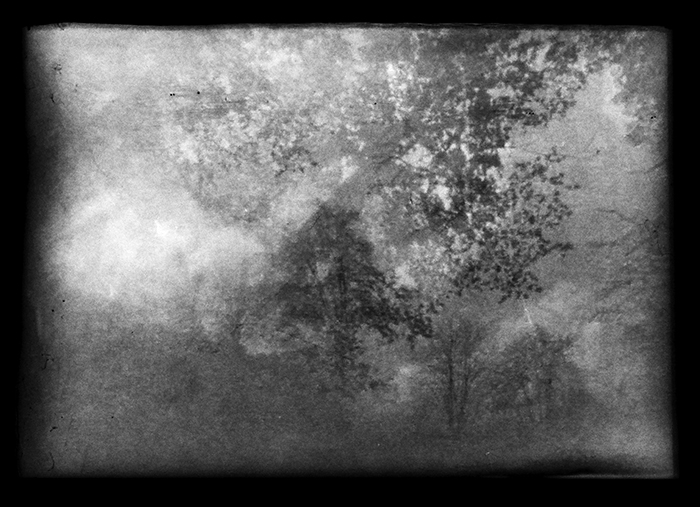 Pinholeday 2020