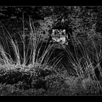 Stopy zašlých časů 1