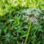 Co je to štěstí..