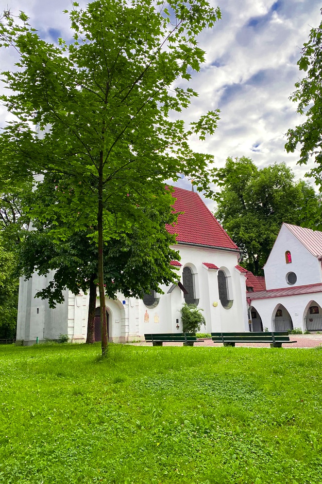 V parku