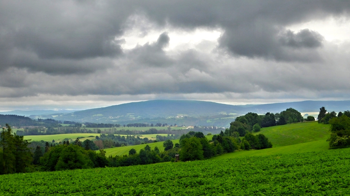 Vysočina, vrch Melechov