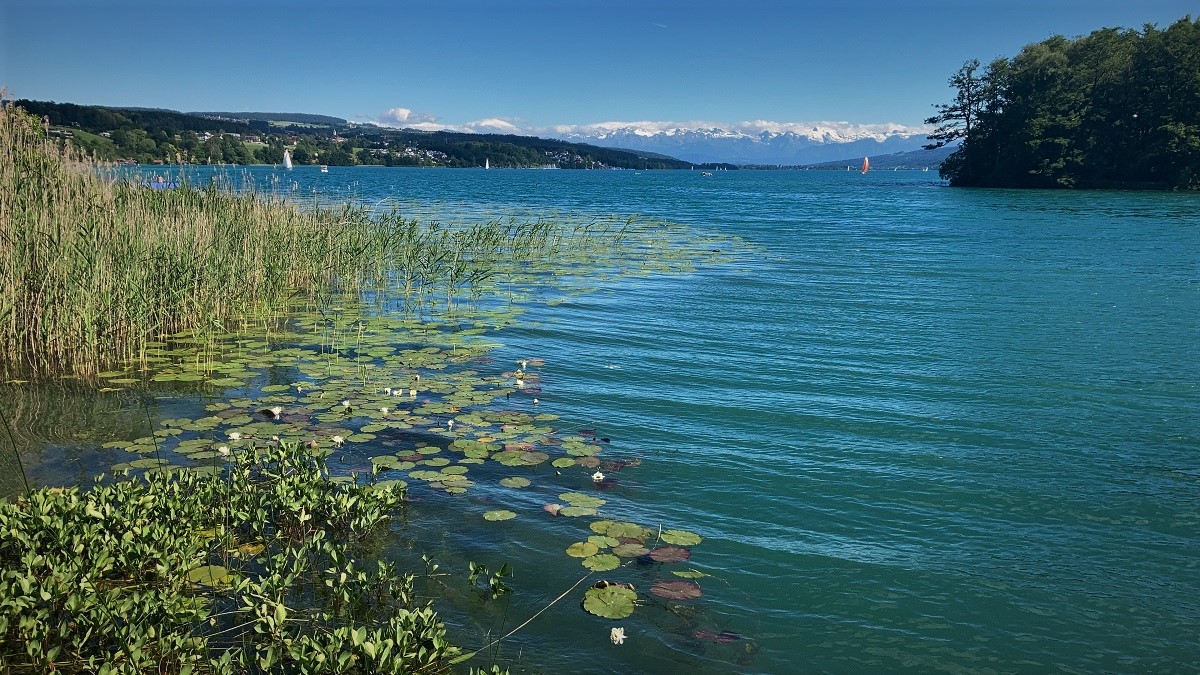 čekání na loď... Hallwilersee