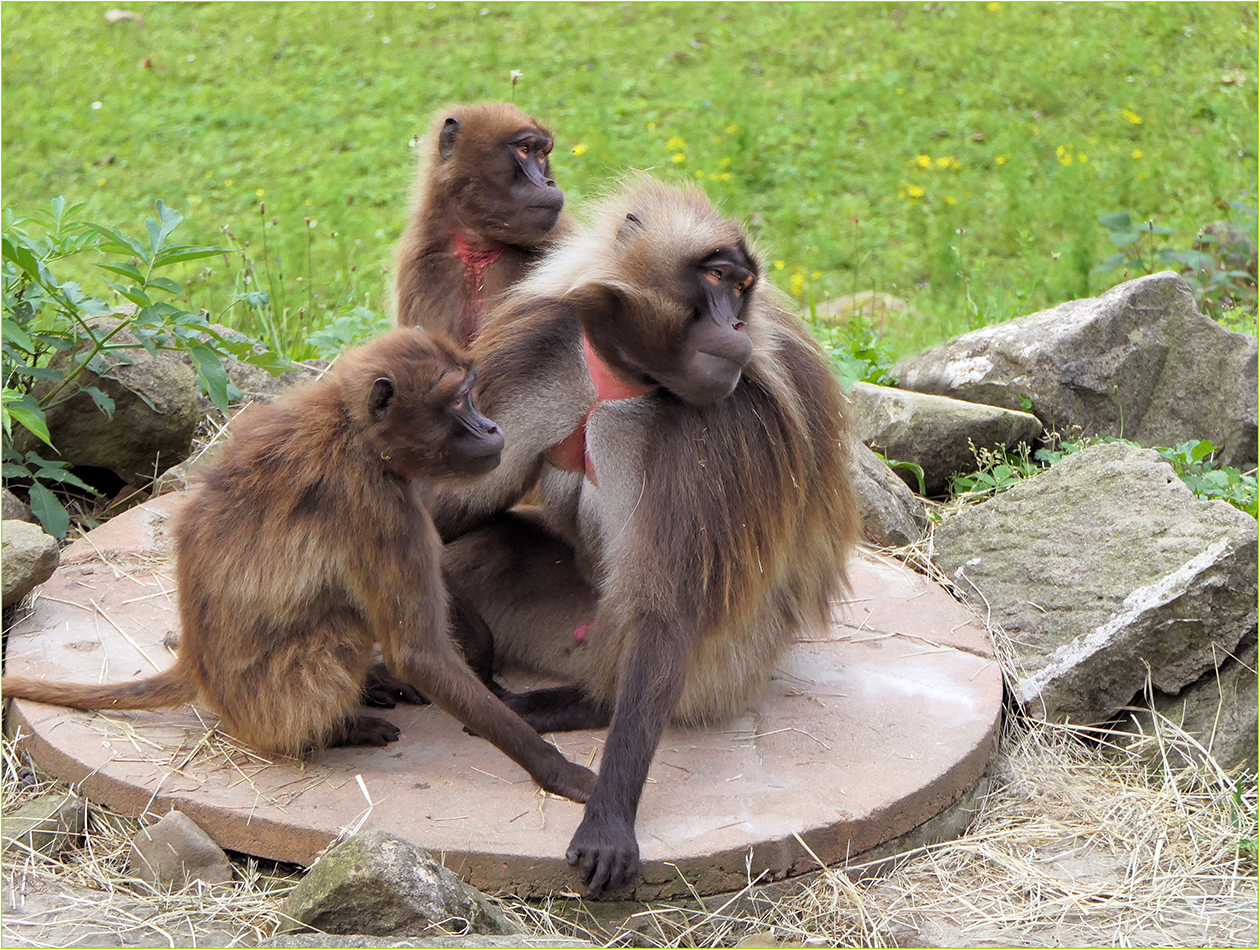 Něco se tam děje... (2)