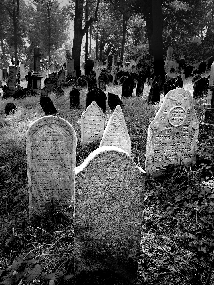 Zahrady ticha a zapomnění...6